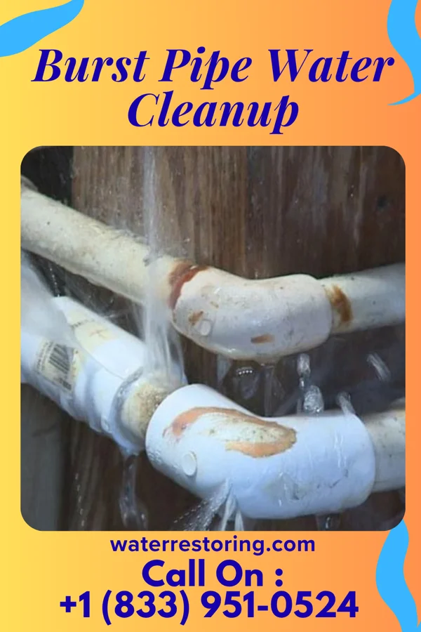 Burst Pipe Water Cleanup in State College, PA