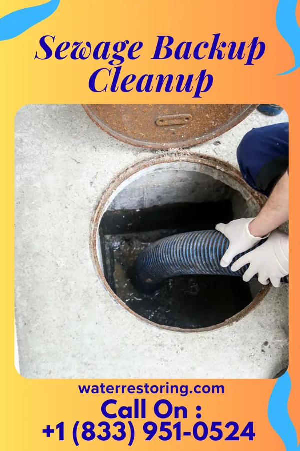 Sewage Backup Cleanup in State College, PA