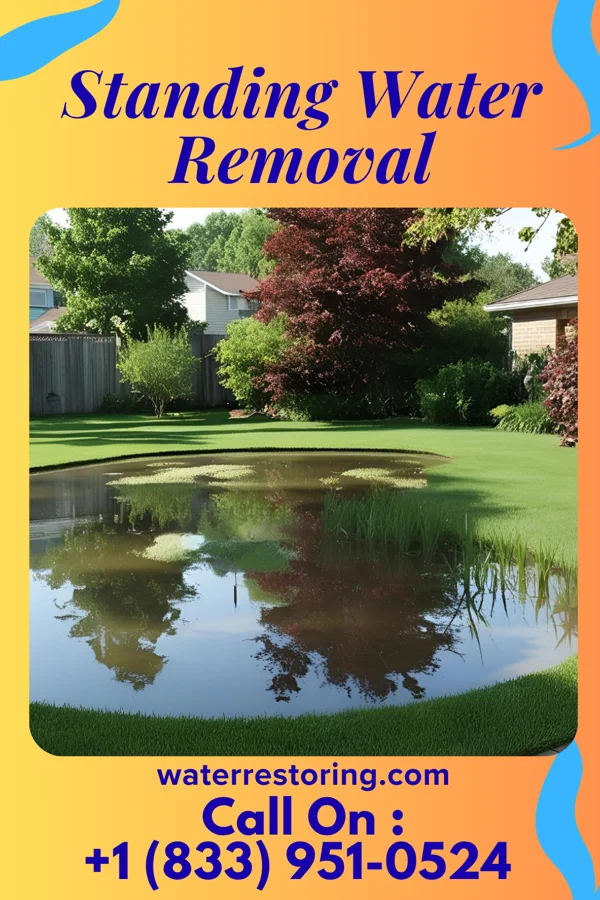 Standing Water Removal in State College, PA
